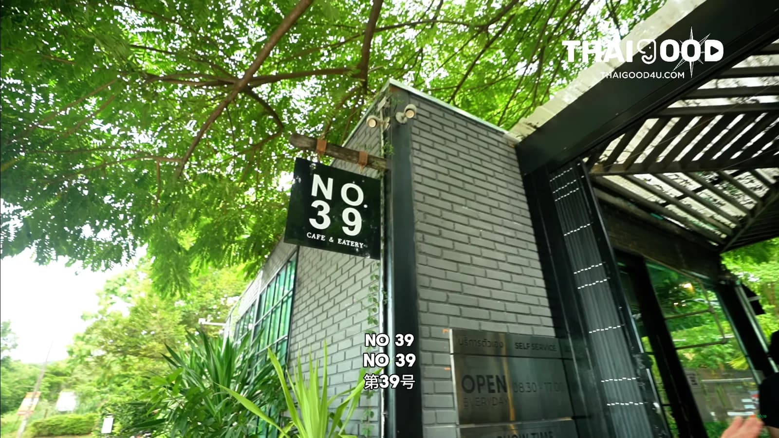 Nature, Jazz, and Unique Flavors in Chiang Mai