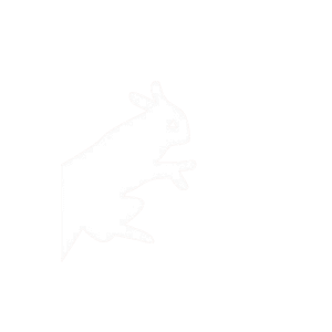 white rabbit